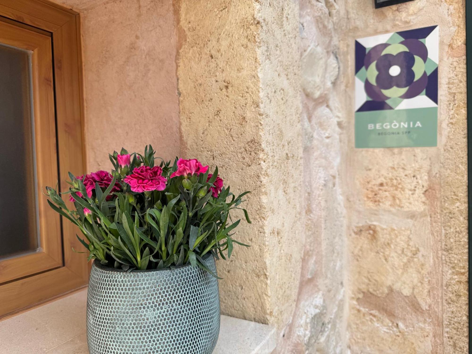 Séjour à la ferme Son Flor *